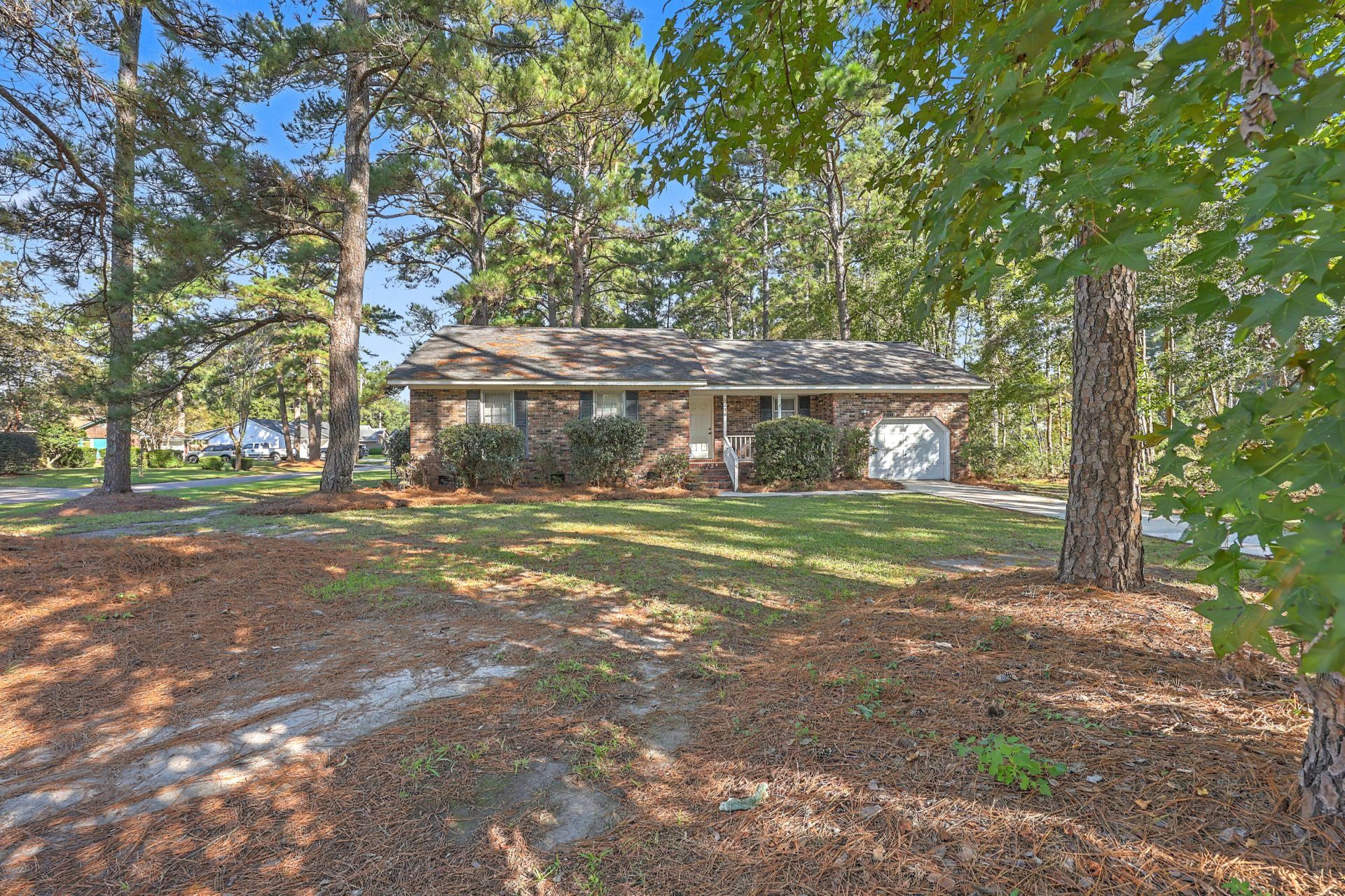 230 Wilson Drive Photo 4