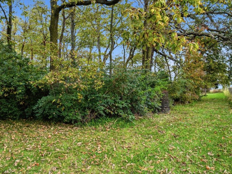 14040 Commercial Point Road , Ashville, OH 43103 Photo 100