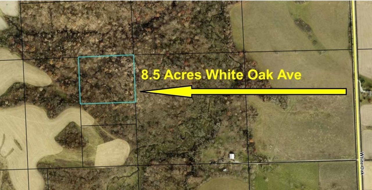 White Oak Avenue, Solon, IA 52333 Main Photo