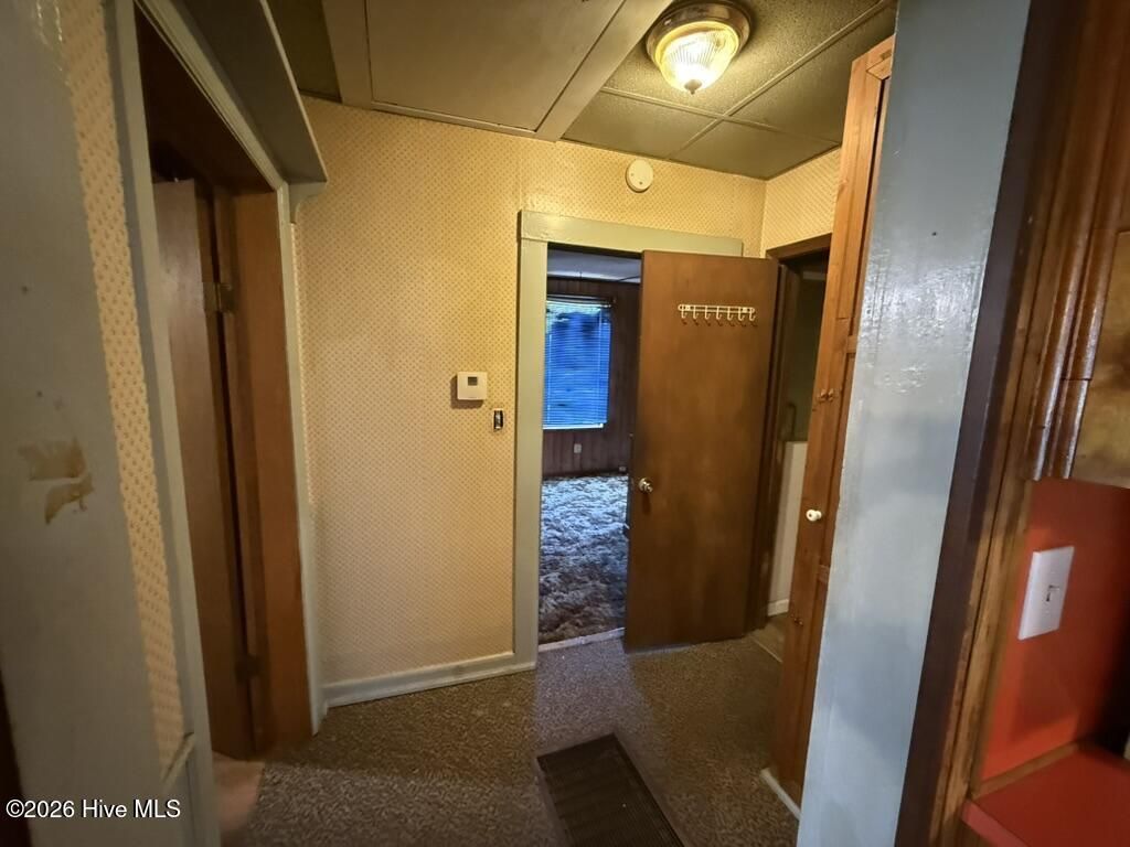 20 Robinson Street  Photo 12