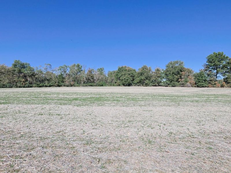 2141 Baas Road, Stonelick Township, OH 45103 Photo 67