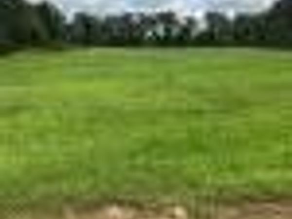 4739 Emma Cannon Road , Ayden, NC 28513