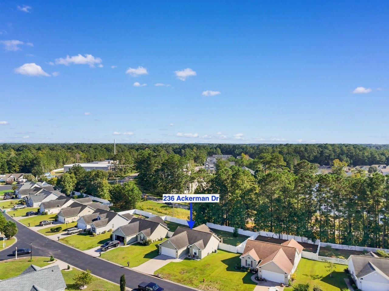 236 Ackerman Dr. Photo 33