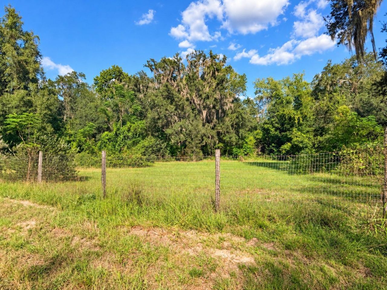2591 SE 27th Street, Gainesville, FL 32641 Photo