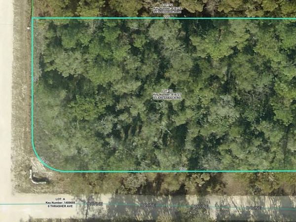 15026 CANVASBACK ROAD , WEEKI WACHEE, FL 34614