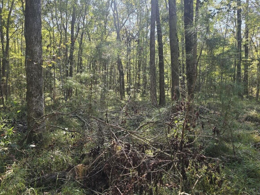 2442 Peirce Road Photo 11