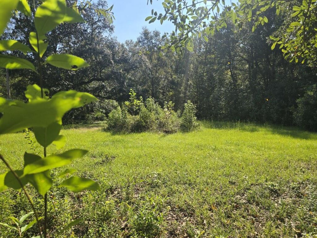 2442 Peirce Road Photo 12