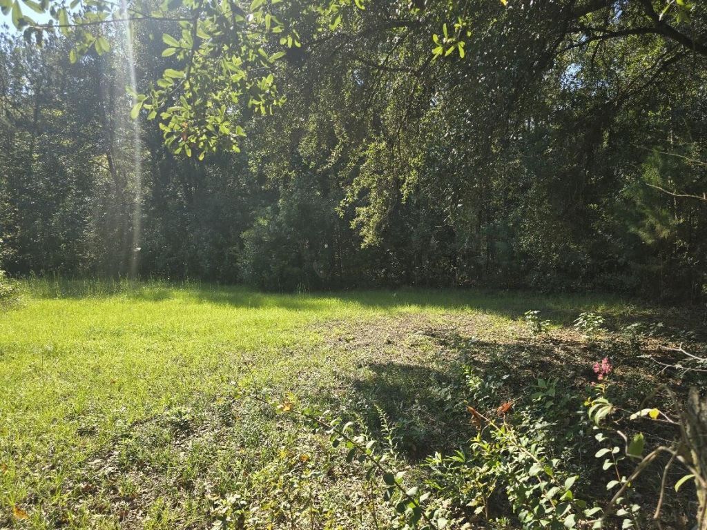 2442 Peirce Road Photo 13