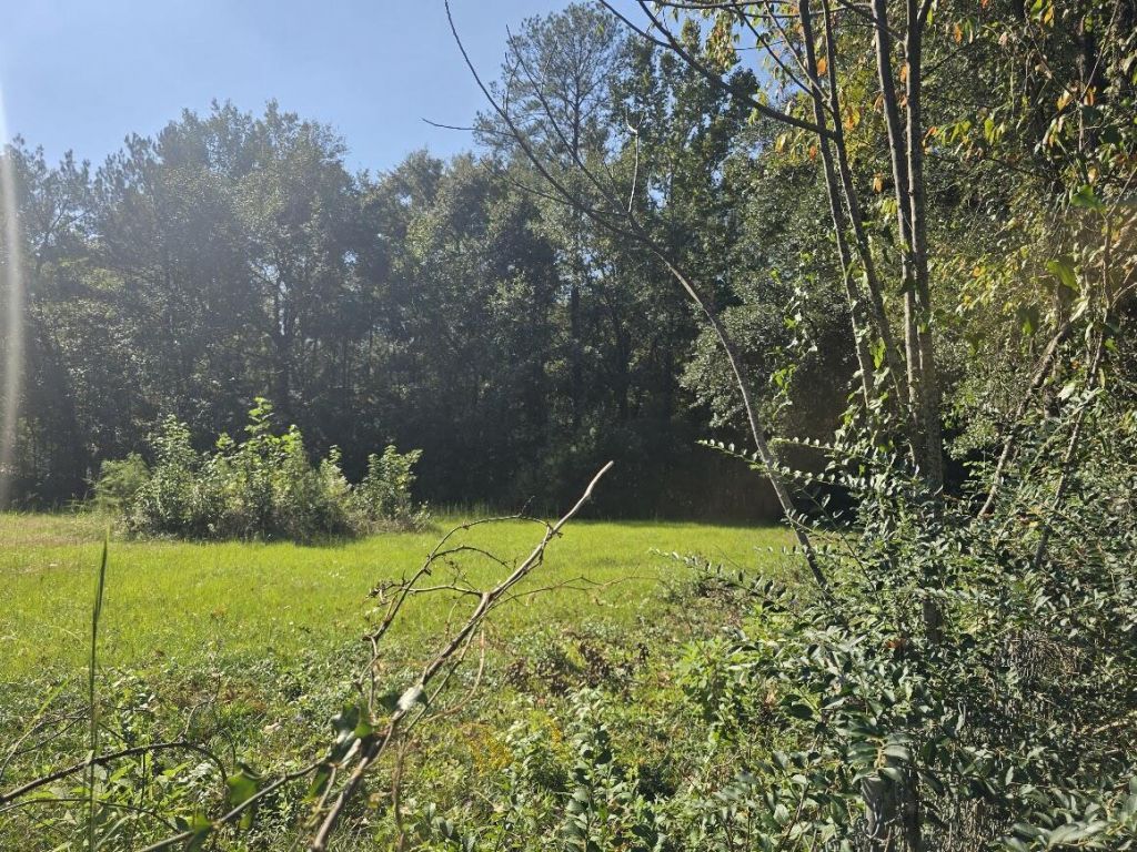 2442 Peirce Road Photo 14