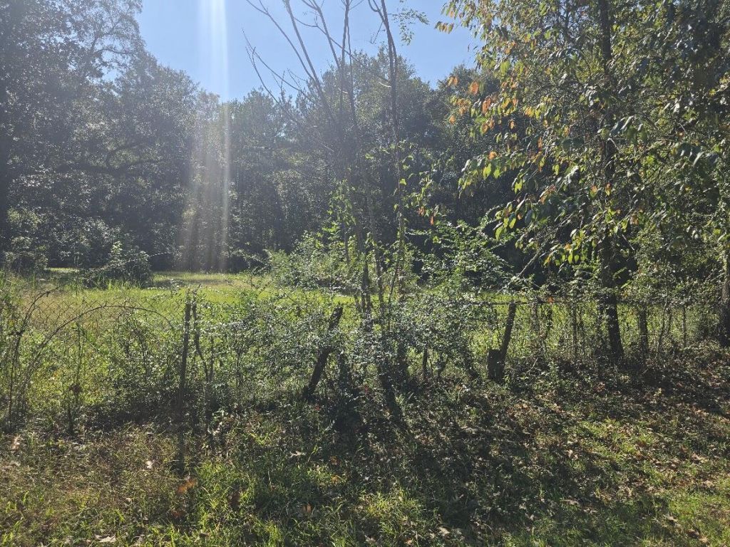 2442 Peirce Road Photo 16