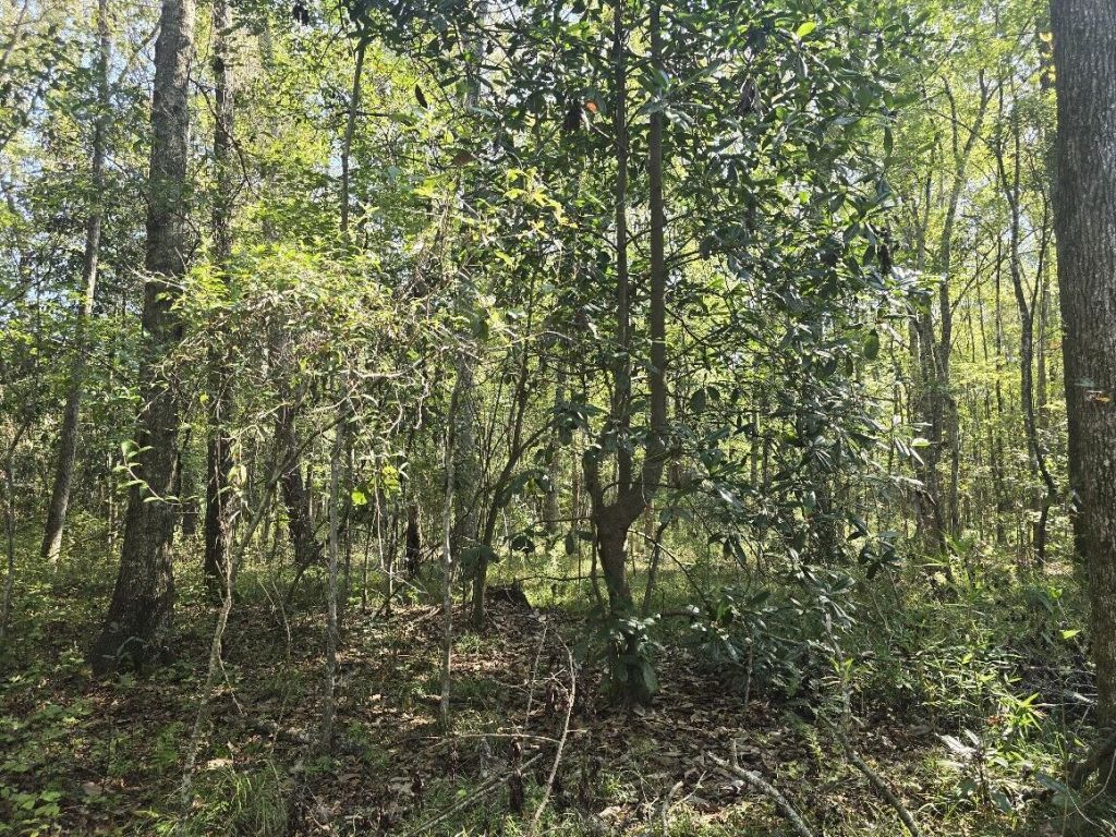 2442 Peirce Road Photo 5