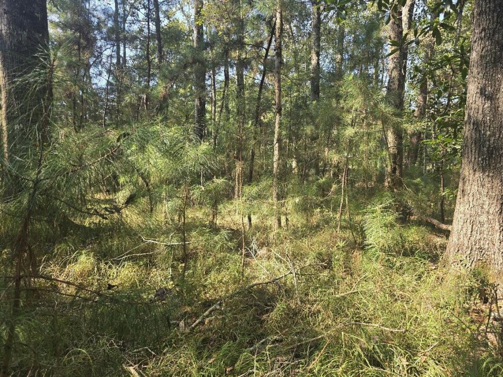 2442 Peirce Road Photo 9