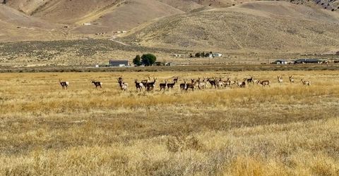 650 Wrangler Road, Lot #2, Reno, NV 89510 Photo