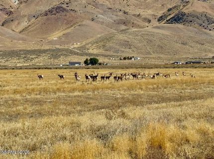 650 Wrangler Road, Lot #2, Reno, NV 89510 Photo