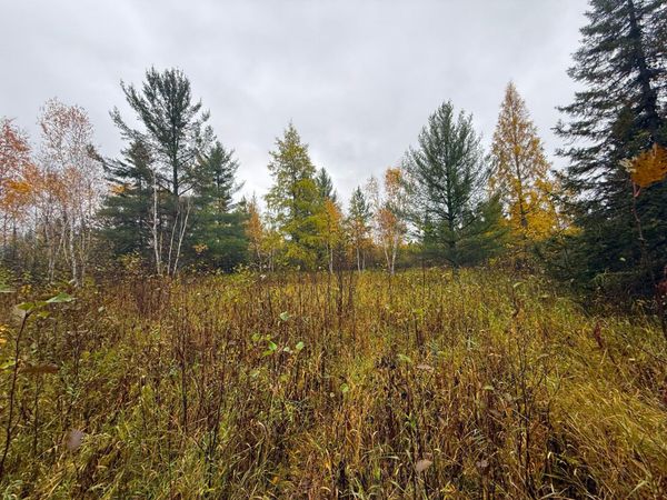 75XX Metske Road , Eveleth, MN 55734
