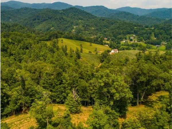 Lot 2, 4, 9-13, 15, 20-22 The Vines Boulevard, Marshall, NC 28753