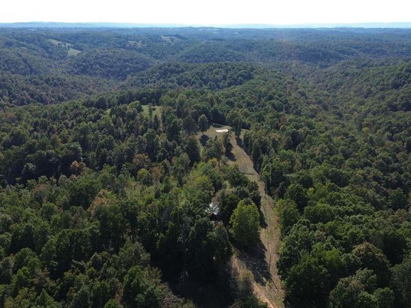 307 Bammy Drive, Harriet, AR 72639