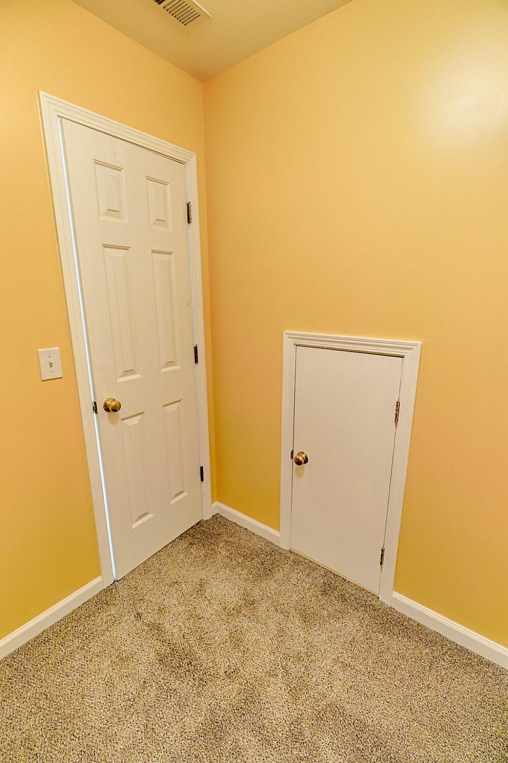 274 S Sweet Alyssum Drive Photo 49
