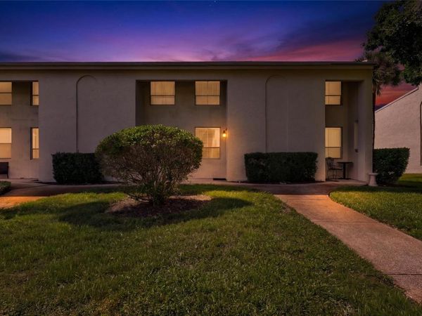 4515 LA CAPRI COURT , TAMPA, FL 33611