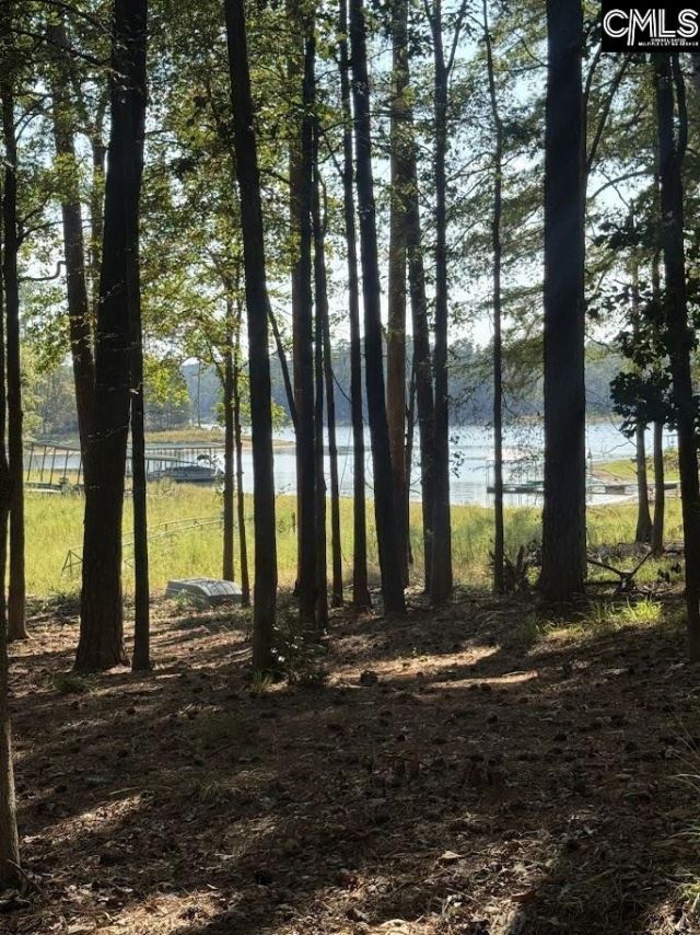 109 Kirkland Photo 37