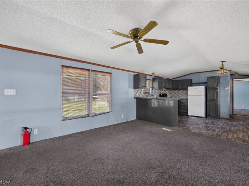 3583 Austin Road, Geneva, OH 44041 Photo 6