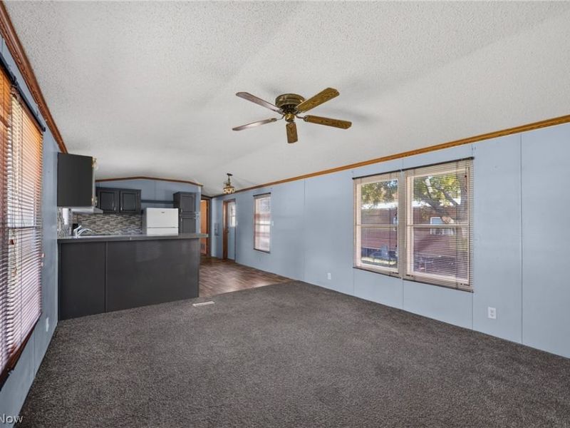 3583 Austin Road, Geneva, OH 44041 Photo 7