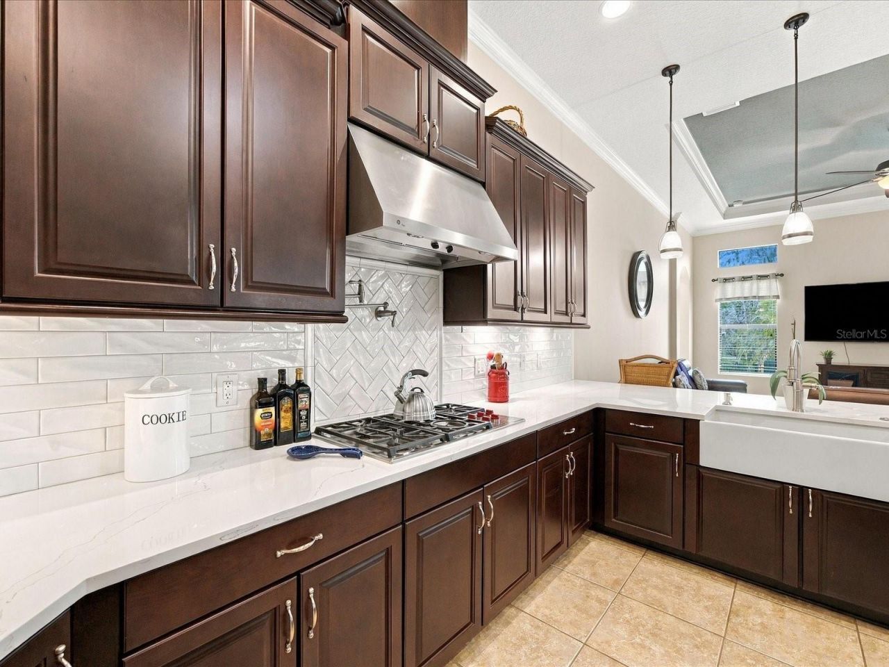 17314 San Aringo Place, Lutz, FL 33548 Photo