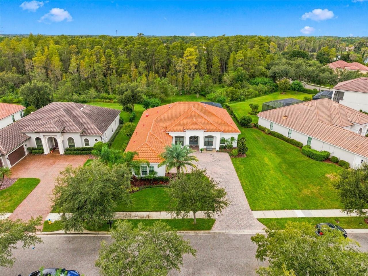 17314 San Aringo Place, Lutz, FL 33548 Photo