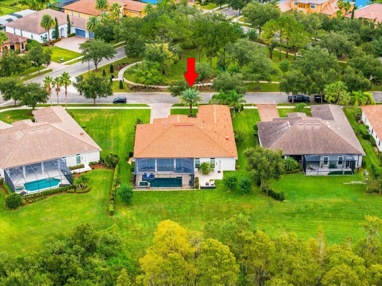 17314 San Aringo Place, Lutz, FL 33548 Photo