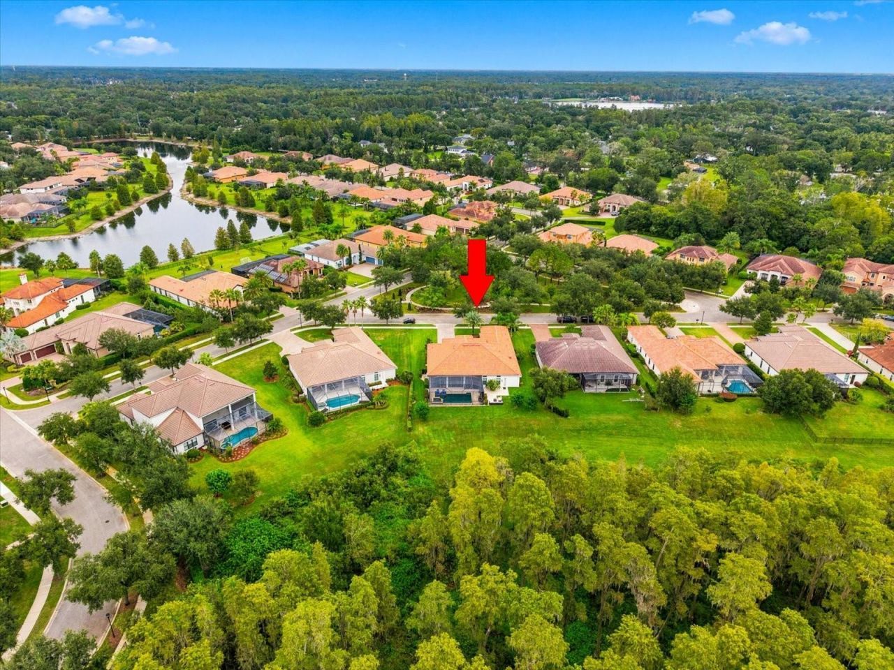 17314 San Aringo Place, Lutz, FL 33548 Photo