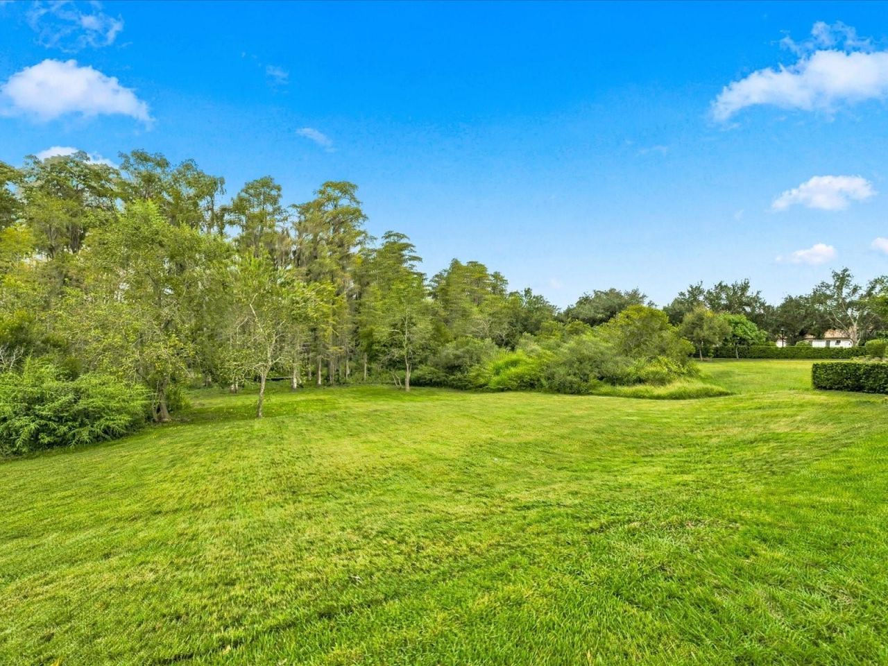 17314 San Aringo Place, Lutz, FL 33548 Photo