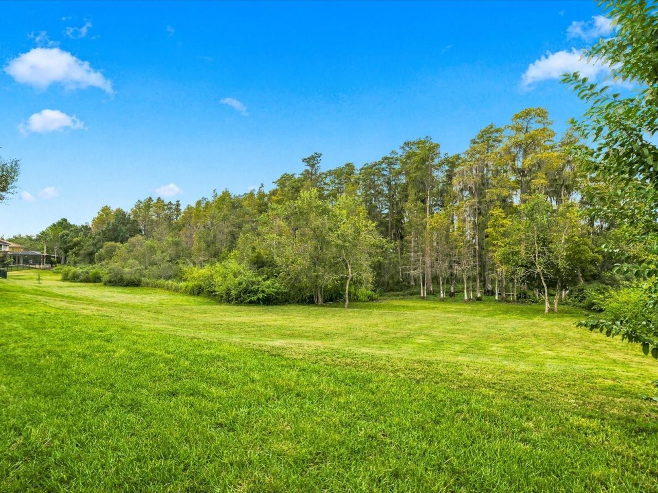 17314 San Aringo Place, Lutz, FL 33548 Photo