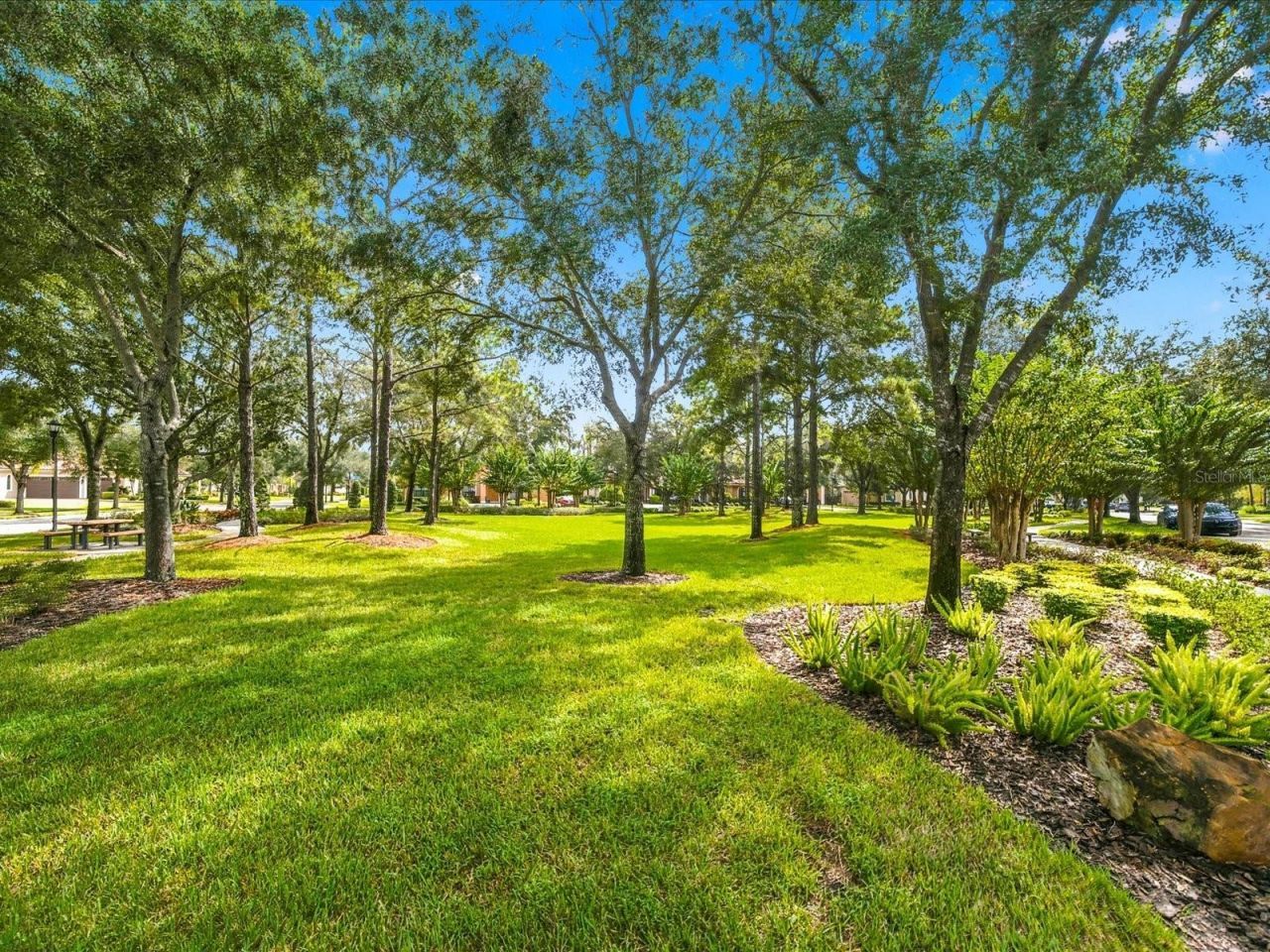 17314 San Aringo Place, Lutz, FL 33548 Photo