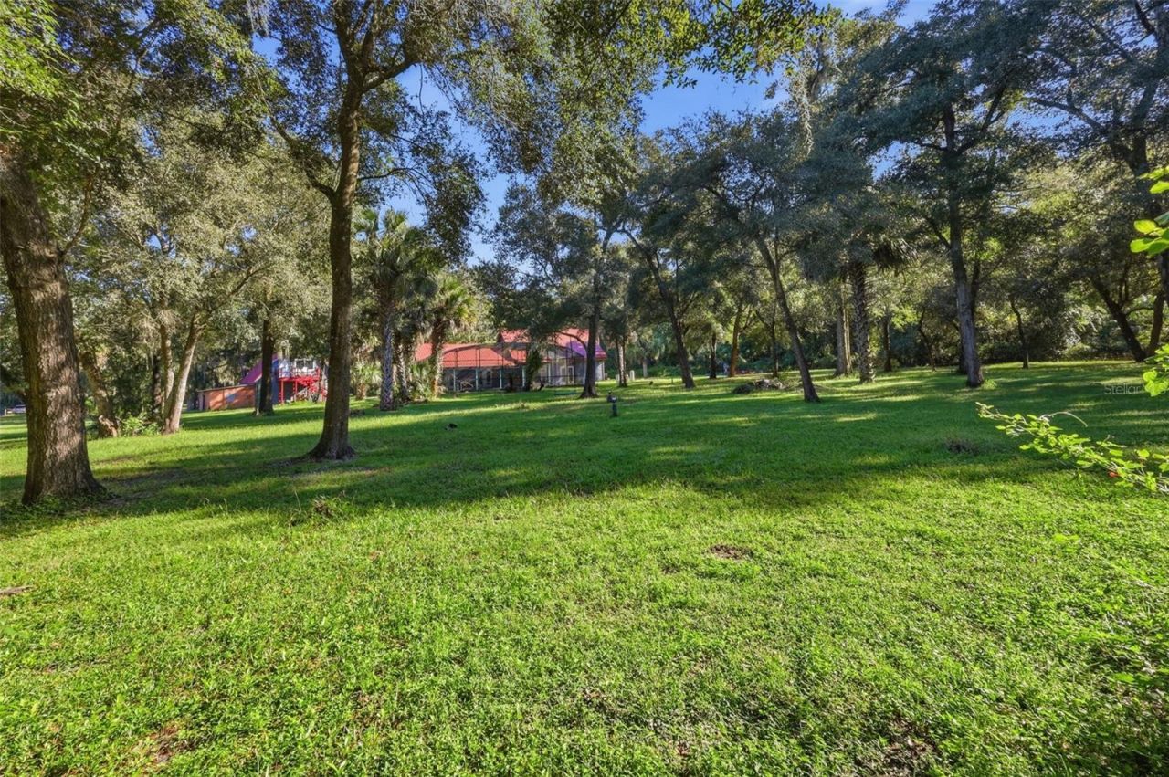 2290 Mud Lake Road , De Leon Springs, FL 32130 Photo