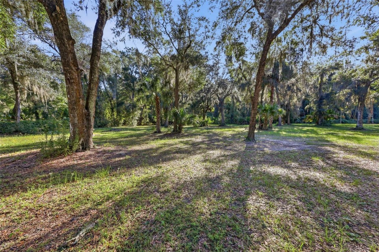 2290 Mud Lake Road , De Leon Springs, FL 32130 Photo