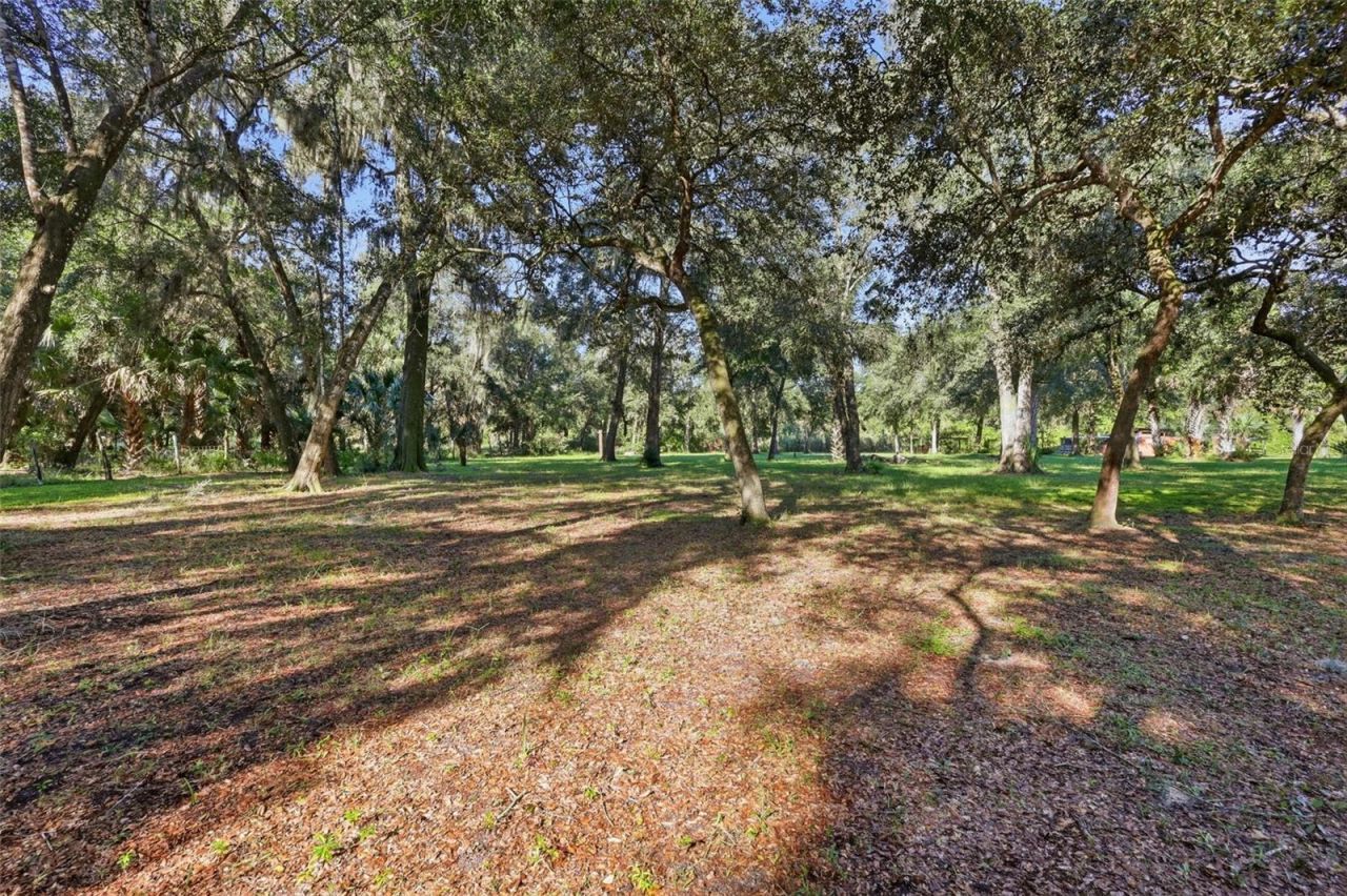 2290 Mud Lake Road , De Leon Springs, FL 32130 Photo