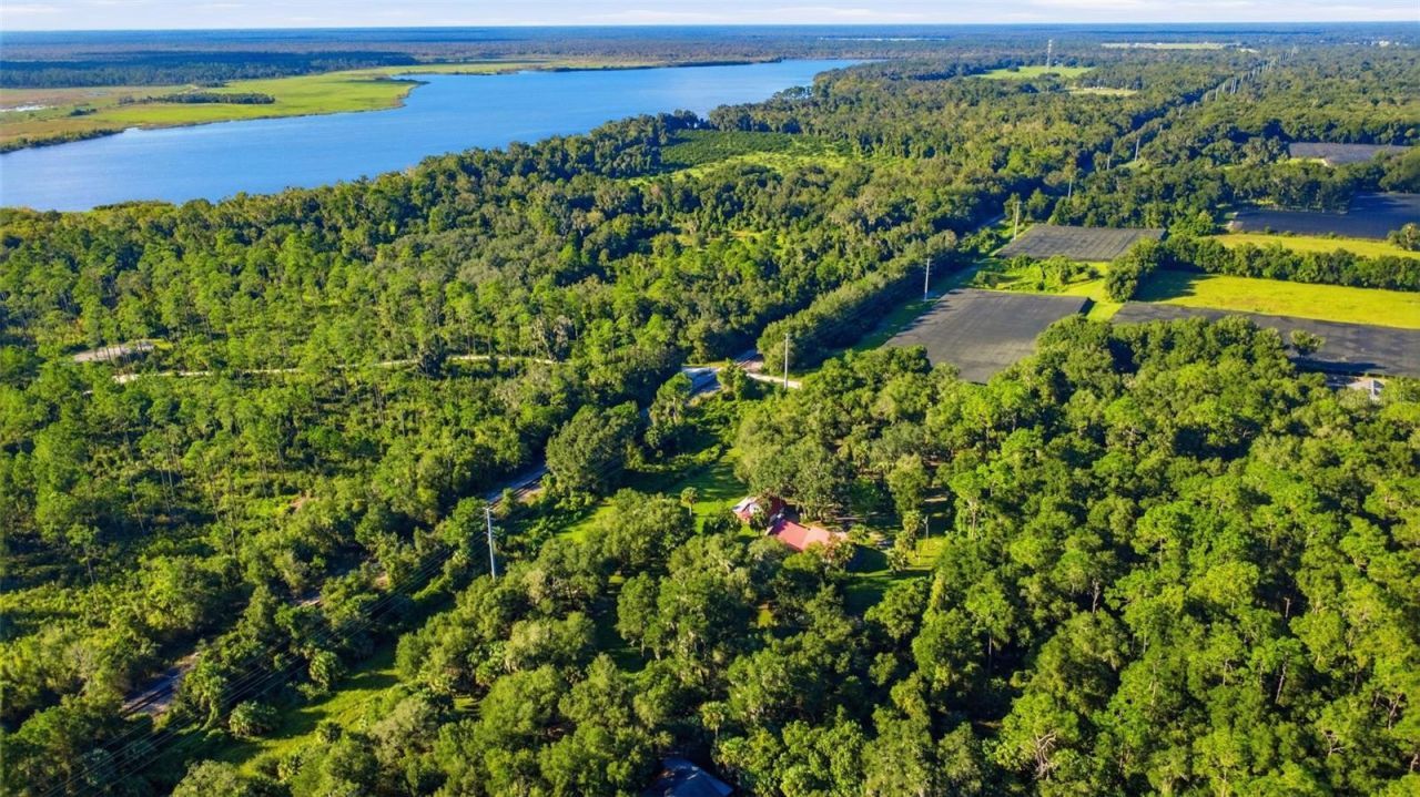 2290 Mud Lake Road , De Leon Springs, FL 32130 Photo
