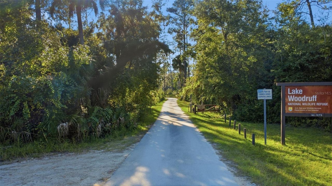 2290 Mud Lake Road , De Leon Springs, FL 32130 Photo