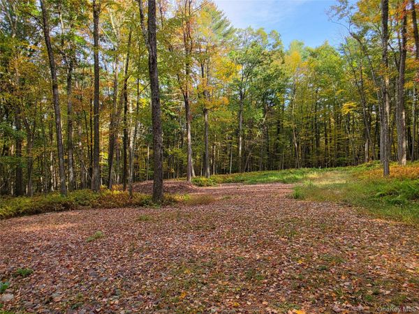 TBD Evergreen Lane , Narrowsburg, NY 12764
