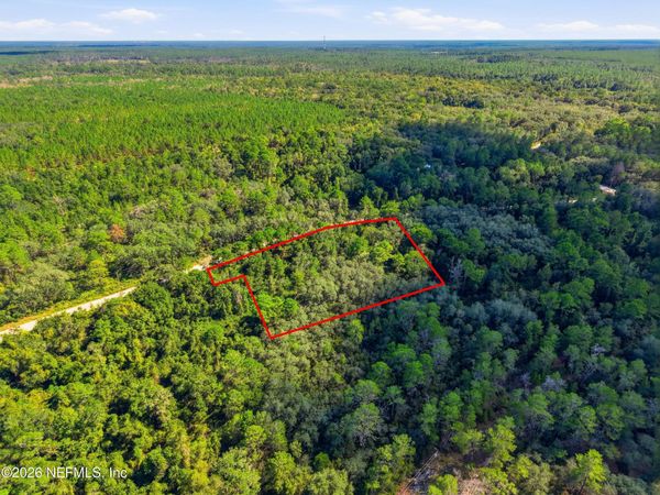 0000 NETTLES Road, Florahome, FL 32140