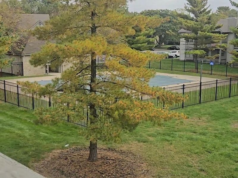 2733 Greystone Drive, Unit GD2733, Columbus, OH 43220 Photo 17