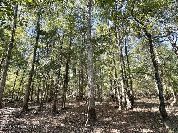 6 Evans Road, Carthage, MS 39051