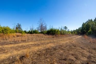 0 White Oak Rd, Lot #19B, Stewart, TN 37175 Main Photo
