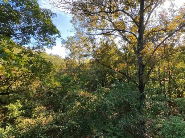 000 Riverbend Road- Lot 19 , Mammoth Spring, AR 72554