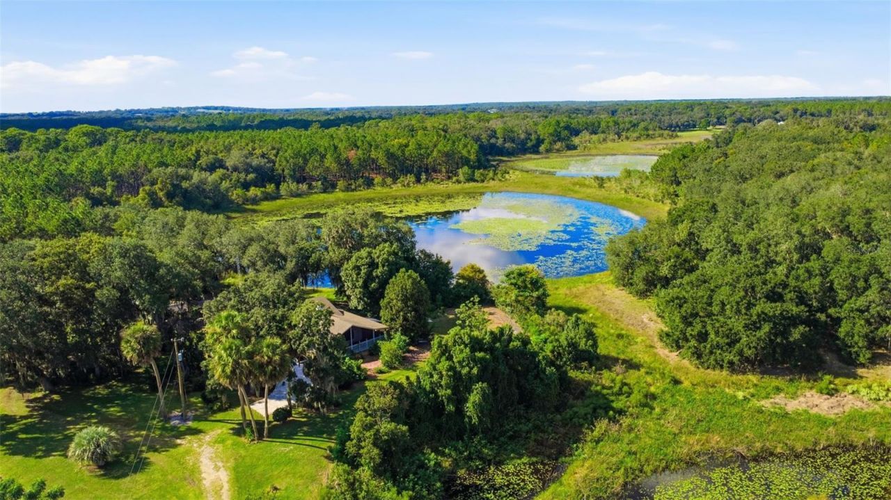 41520 Charm Lake Drive, Umatilla, FL 32784 Photo