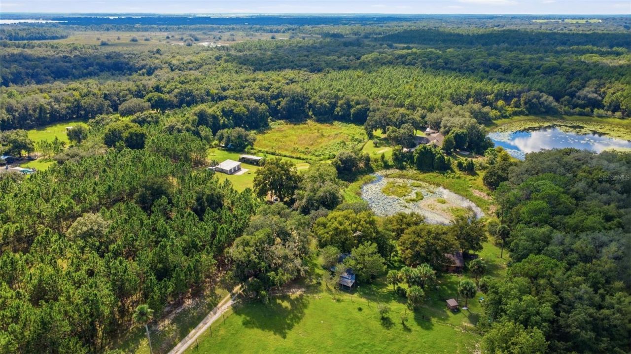 41520 Charm Lake Drive, Umatilla, FL 32784 Photo