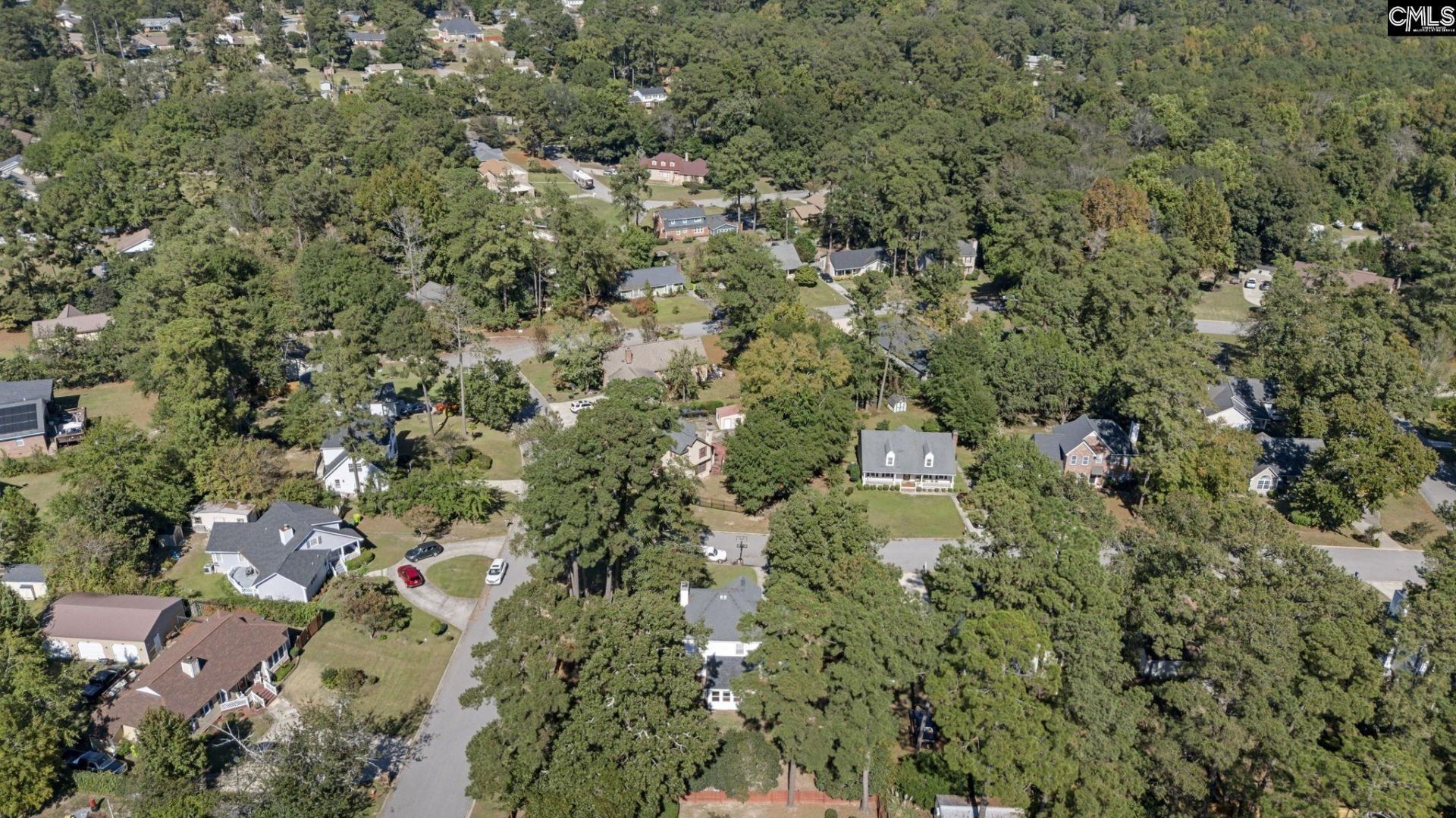 239 Charles Towne Court  Photo 37