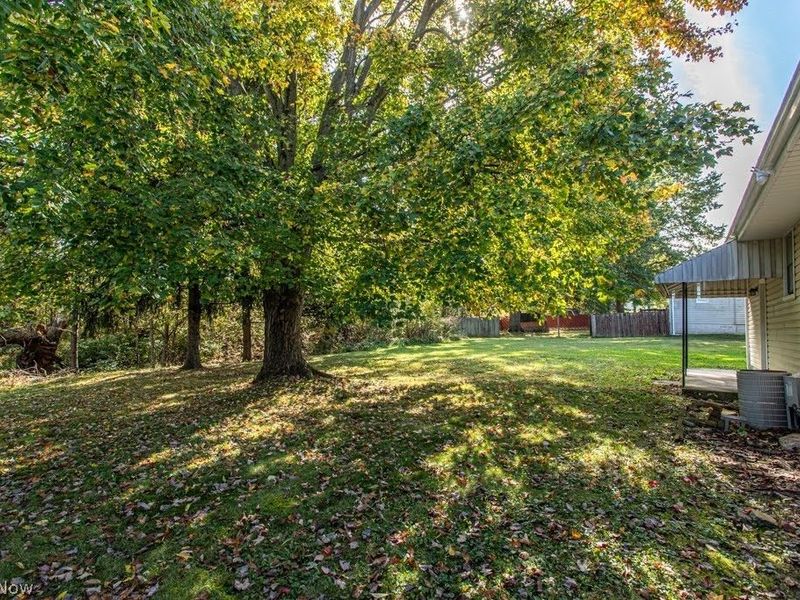 721 Rhoda Avenue, Youngstown, OH 44509 Photo 22
