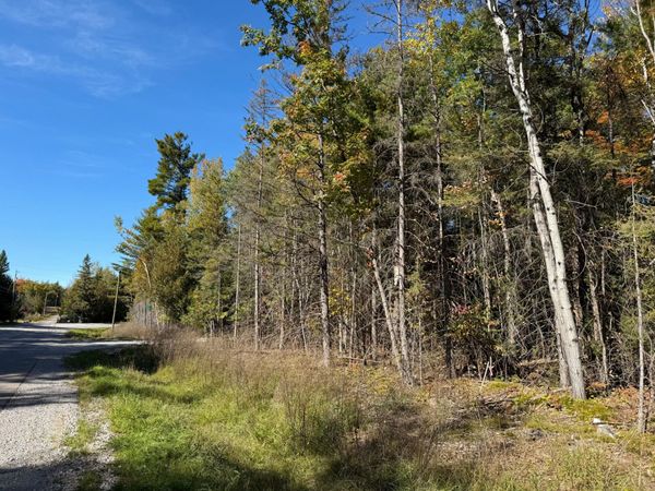 372 Lake Winyah Road, Alpena, MI 49707