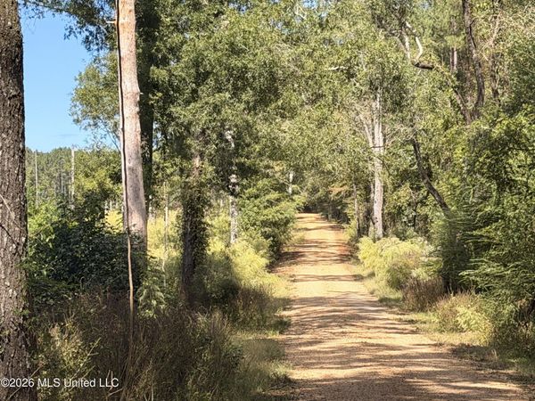 Peterson Lane, Smithdale, MS 39664
